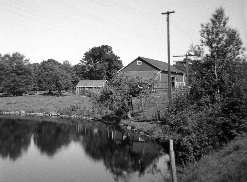 Barn 1951